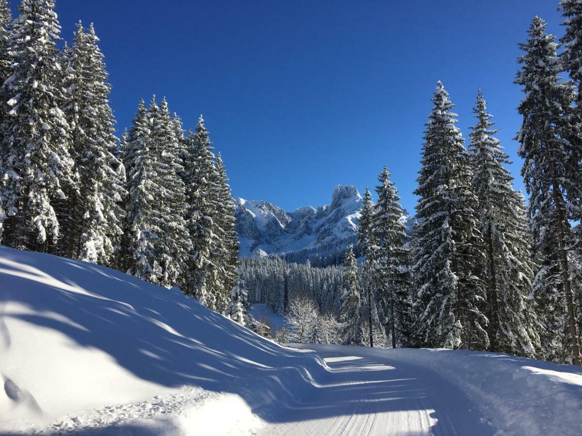Apartment Kraemerhaus Annaberg, Dachstein West ภายนอก รูปภาพ