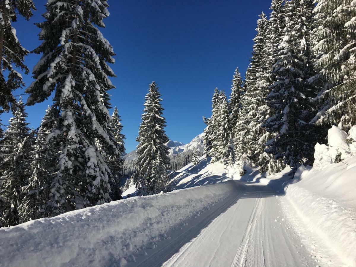 Apartment Kraemerhaus Annaberg, Dachstein West ภายนอก รูปภาพ
